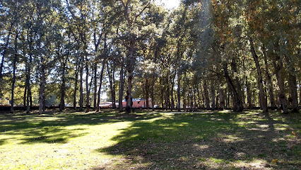 Zona recreativa El Bardal