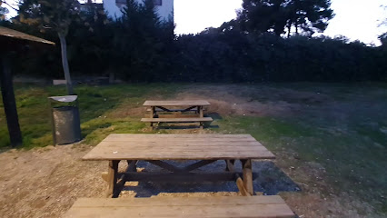 Alpicat Ludic Parck