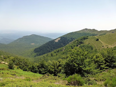 AF1QipMCCJWU51oSWeqjauT2eABDmWH0LMiIlgUdc6L-w408-h306-k-no.jpeg