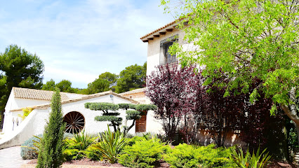 AF1QipMGtETRY5Rb6rE8ckuavibnZ4XQorjWU_vwF93Ew426-h240-k-no.jpeg
