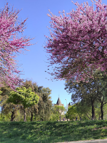 Jardines De La Orilla Del Rio