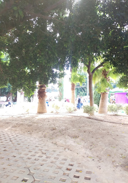 AF1QipMoKNq5EftfY_MJFVJXiayaV30T1VT4bOGUjFGow408-h584-k-no.jpeg