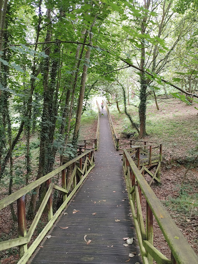 Bosque dos Veciños
