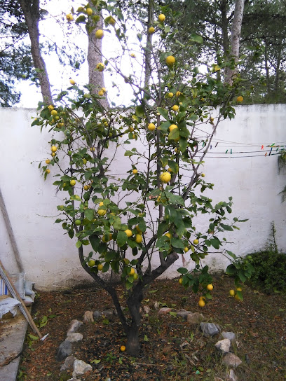 AF1QipNX7G3U_-uCnNqDw6_WLfJBydJ9yBQS9AKyzSOuw408-h544-k-no.jpeg