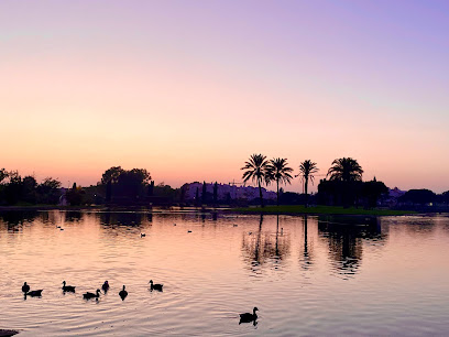 Parque Ballena de los Niños