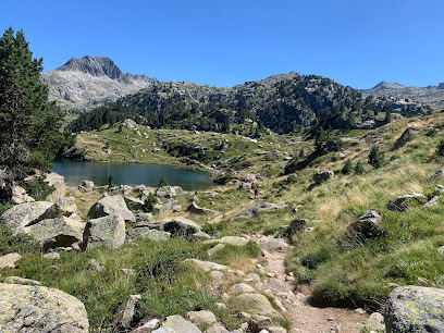 Naut Aran