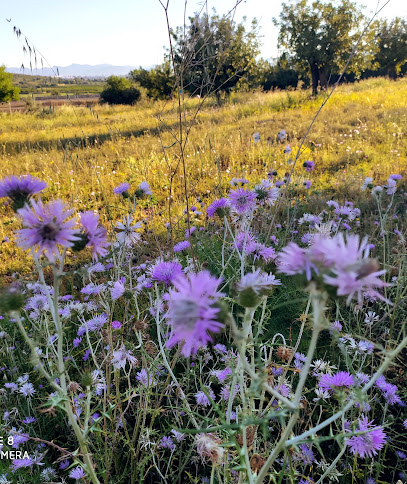AF1QipNkcNw7UOO3vHKtC8nB8ujZEK3BDUPONCpGMvB8w408-h484-k-no.jpeg
