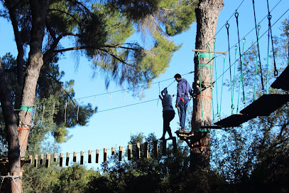 Bosque Suspendido – Parque de Aventuras en los Árboles