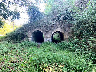 Área recreativa de El Llegu (Turón)
