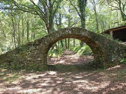 Area Recreativa O Caneiro