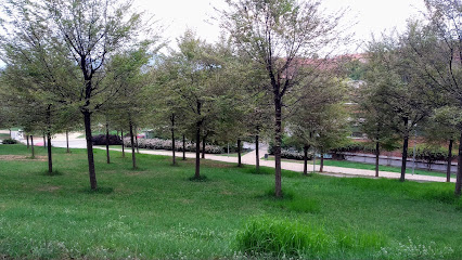 AF1QipP80tD7RCSBI_aTKDpv_FkS3GKorLFouTa3GXgw426-h240-k-no.jpeg