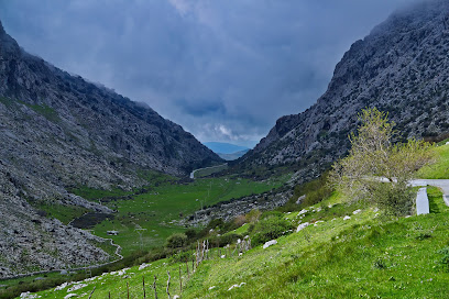 Manga de Villaluenga