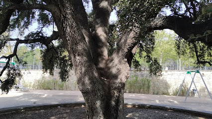 AF1QipPT31qg-lydHN760ip2zBU4SKvhlcDYV4G6uOP_w426-h240-k-no.jpeg