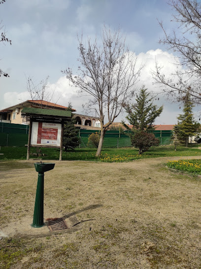 Parque Municipal de Piedratajada