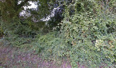 thumbnailpanoid0nmqrMkXkKKhDfa27etD6gcb_clientsearch.gws-prod.gpsw408h240yaw247.94174pitch0thumbfov100.jpeg