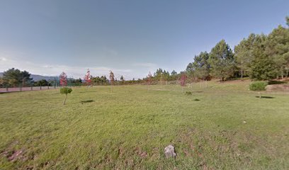thumbnailpanoid7y4Pw_m9HIPjQ_jMrwkdFQcb_clientsearch.gws-prod.gpsw408h240yaw317.19922pitch0thumbfov100.jpeg