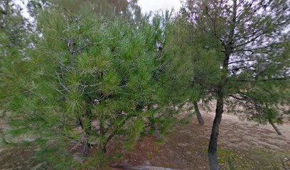 thumbnailpanoidV3ozmkL6FLA1jm6rh041ZAcb_clientsearch.gws-prod.gpsw408h240yaw128.4553pitch0thumbfov100.jpeg