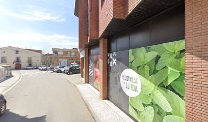 Plaça Major