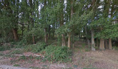 La chopera de Argecilla