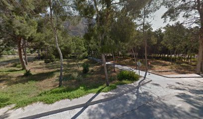 thumbnailpanoidpriLbH3cE4znDJHsH3bgwwcb_clientsearch.gws-prod.gpsw408h240yaw66.45347pitch0thumbfov100.jpeg