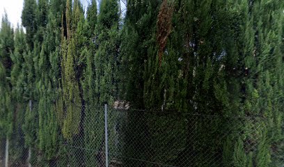 Playground – Zona de juego y recreo infantil