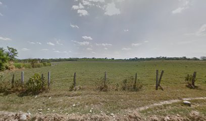 thumbnailpanoidT8FLfaR8pMqTR0NdZ01zAQcb_clientsearch.gws-prod.gpsw408h240yaw181.55798pitch0thumbfov100.jpeg